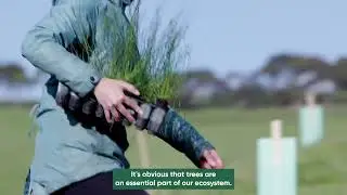 Tree planting for a nature-positive future 🌳 | WWF-Australia
