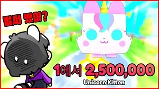 펫시뮬 RNG가 정식 출시됐다...ㄷㄷ 바로 250만짜리 펫 얻어버림 ㅋㅋㅋ [펫 go]