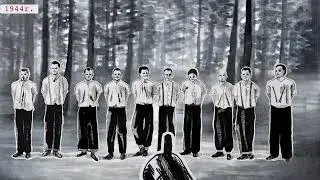 Odpowiedzialność zbiorowa
