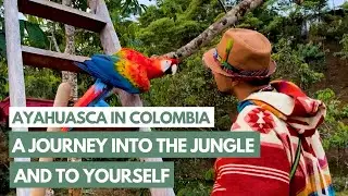 Ayahuasca in Colombia: A Journey into the Jungle and to Yourself