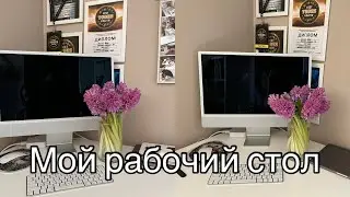 РАБОЧИЙ СТОЛ СТУДЕНТА-МЕДИКА | ОБЗОР НА МОЕ РАБОЧЕЕ МЕСТО