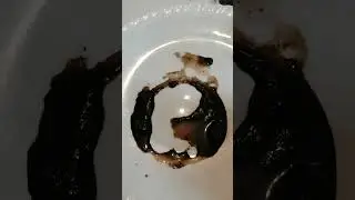 почему государства не разводят воюющие стороны и не трибуналируют......