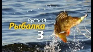 играем в рр3 вечерний стрим