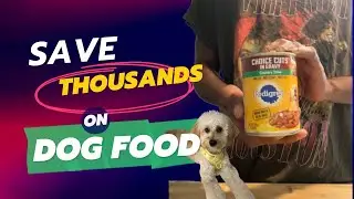 You’re Feeding Your Dog Wrong | Save Money On Dog Food 🐶🛑