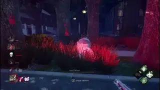 Dbd