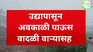 IMD rain alert उद्यापासून अवकाळी वादळी वाऱ्यासह पाऊस विजांचा कडकडासह पाऊस big breaking news