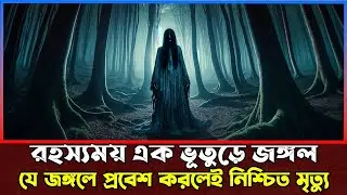 রহস্যময় এক ভূতুড়ে জঙ্গল ।  যে জঙ্গলে প্রবেশ করলে মানুষ হারিয়ে যায় । Horror Story Bangla