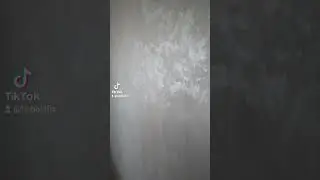 вот такая красота у нас получилась