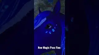 NEW MAGIC PASO FINO 