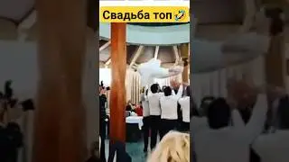 Свадьба👩💍👨🎩👑💏 #юмор #рек #северныйкавказ #свадьба