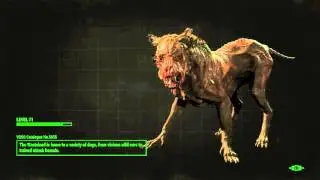 Fallout 4: Automatron gameplay 1