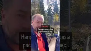 15% годовых🫶🏻ru.skyhouse.fi