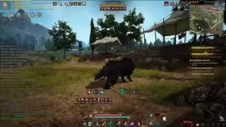 Black Desync Online - A Tamers Struggle to Land CC