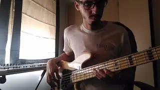 Deacon Blues — Bass Cover