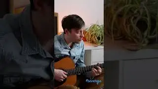Музыка в полном погружении подобна медитации. #severga #meditationmusic #acousticguitar