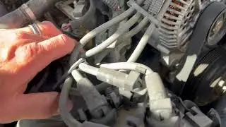 1996-1997 MN12 Cougar and Thunderbird 4.6 V8 EGR, EVR, FPR vacuum line walk through.
