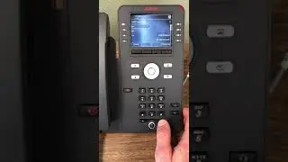 Ring volume, tones and screen settings J169 IP Office