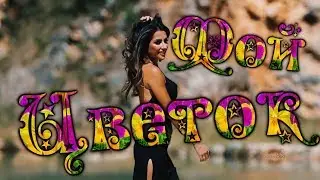 🌺 Мой Цветок🌺