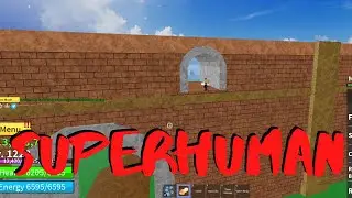 КАК ДОСТАТЬ СУПЕРХЬЮМАН SUPERHUMAN  В  BLOX FRUITS ROBLOX И ВСЕ ТЕХНИКИ БОЯ В БЛОКС ФРУКТС РОБЛОКС