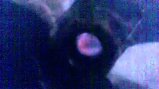 Видео000.3gp