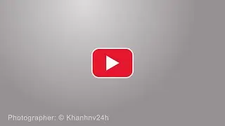 Make YouTube Channel Intro by After Effects