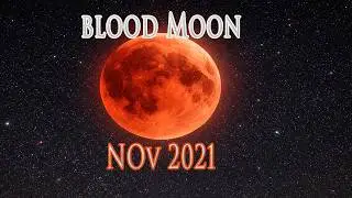 Watch Blood Moon - Live  Stream | Nov 19th 2021 | Lunar Eclipse 2021