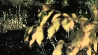 Псевдоним «Албанец»   08 серия