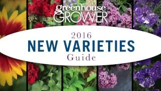 Top New Varieties for 2017