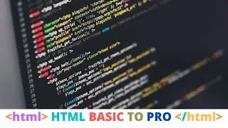 Basic Structure of a Web Page | HTML Basic To Pro | 2021