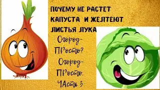 Почему не растет капуста и желтеют листья лука. ОГОРОД ПРОСТО ЧАСТЬ 3.