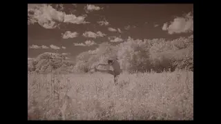 I remember the dancing (and then i eat the apple)