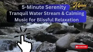 5-Minute Serenity: Tranquil Water Stream & Calming Music for Blissful Relaxation
