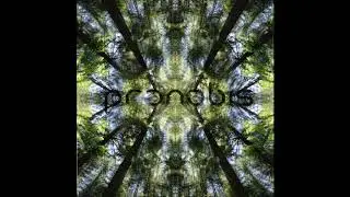 proNobis - Rigadigadingdang