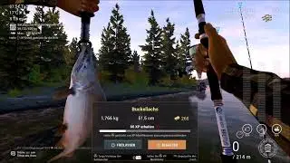 Alle Fishing Planet Videos von meiner PS 4 alle standpunkte für einige spots