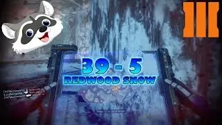 BO3 HARDCORE TDM 39 - 5 REDWOOD SNOW