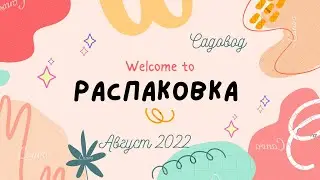 Распаковка с Садовода. Детский люкс за 1000₽. Обувь по 500₽🙈