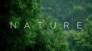 Back To Nature