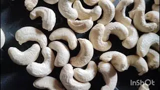 #cashew #w320