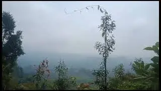 Pencarian 2 Warga Semurup Kerinci Hilang Saat Cari Kayu Bakar