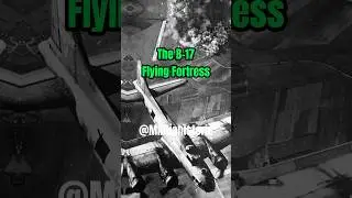 The B-17: America's Aerial Powerhouse in WWII #shorts #history