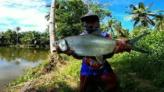 Manguha ratag isda Fishpond sa Silingan😂