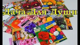 Эти ЦВЕТЫ сеем в МАРТЕ на рассаду ⚘🌻⚘🌻⚘🌻