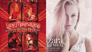 "Lady Life" MASHUP - Zara Larsson VS Christina Aguilera, Pink, Mya, and Lil Kim