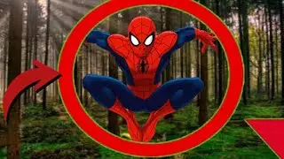 5 Spider-mans captados en camara en la vida real