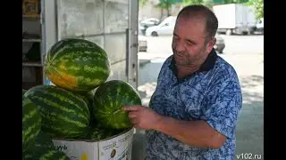 экзамены сданы, я свободен, ура лето на erp.