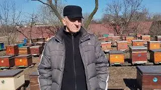 Не спешите  , иначе будет гнилец!