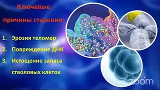 REVITABLU - РЕВИТАБЛУ. Омоложение. Пополнение запаса стволовых клеток