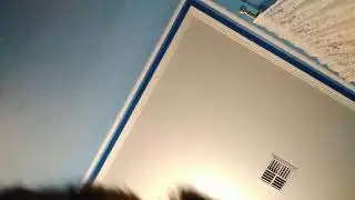 Nom Nom Nom