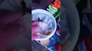 Рыбалка на реке