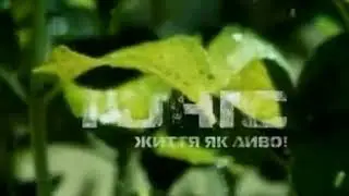 Заставка Тоніс Життя Як Диво!